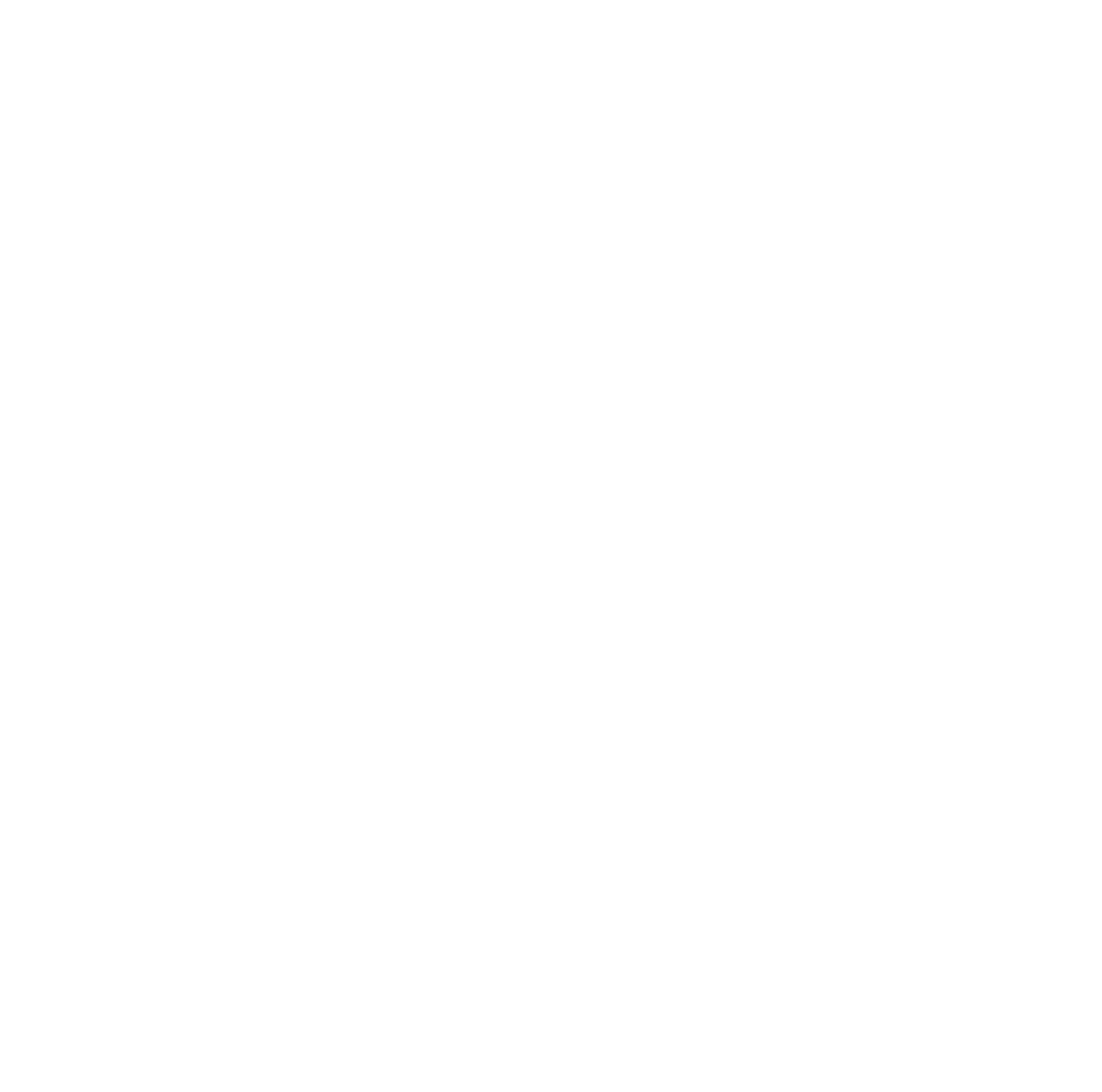 Facebook Logo white